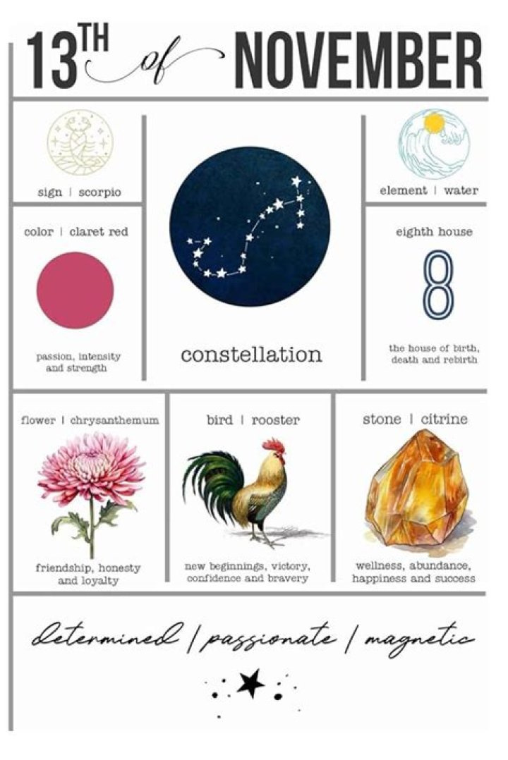 Unveiling the Intriguing November 13 Personality