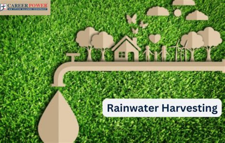 Unveiling the Life and Career of Gregg Rainwater