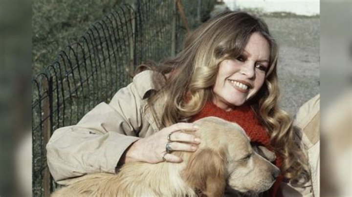 Unveiling the Life of Brigitte Bardot's Son in 2024