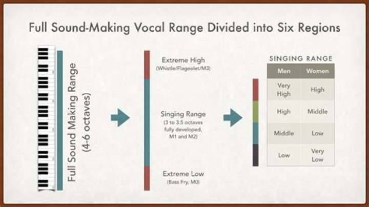 Unveiling Your Musical Potential: The Ultimate Voice Range Test