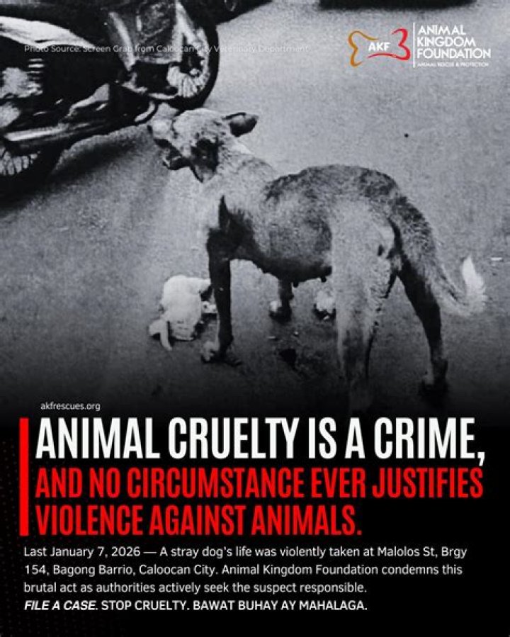 What is Curb Stomping: The Brutal Act of Violence