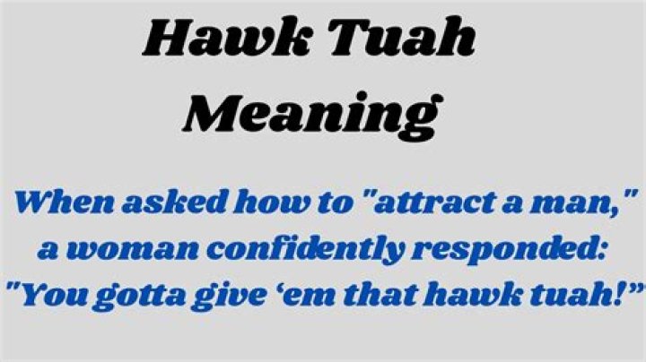 What is Hawk Tauh: Understanding the Phenomenon of Hawk Tauh in Modern Culture