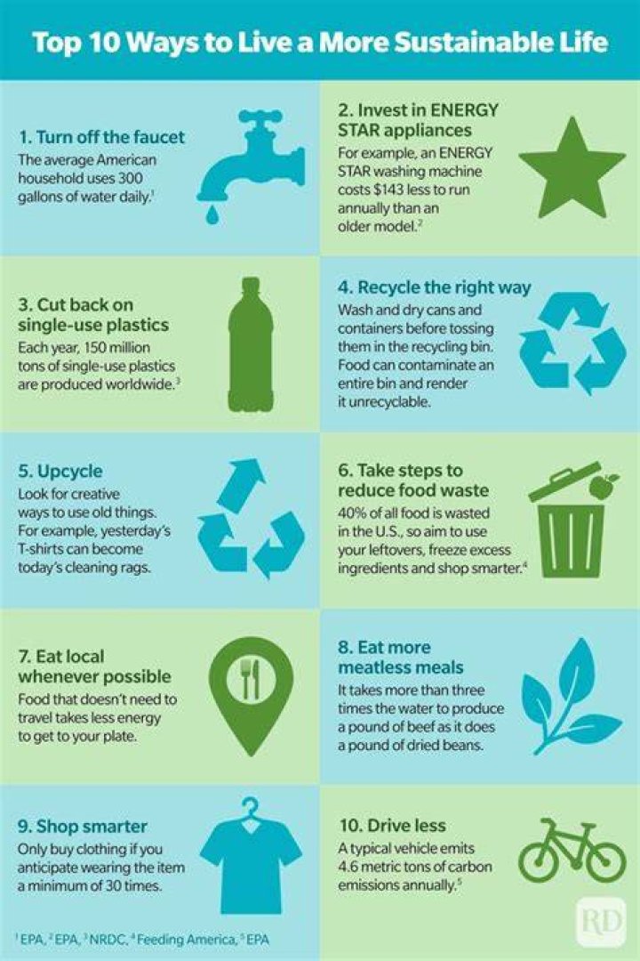 Wootlity: The Ultimate Guide to a Sustainable Lifestyle